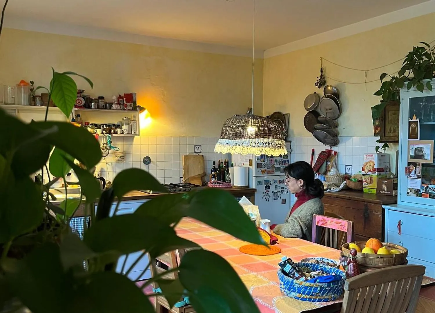 Guest house Affittacamere Casarosa L'Opaco