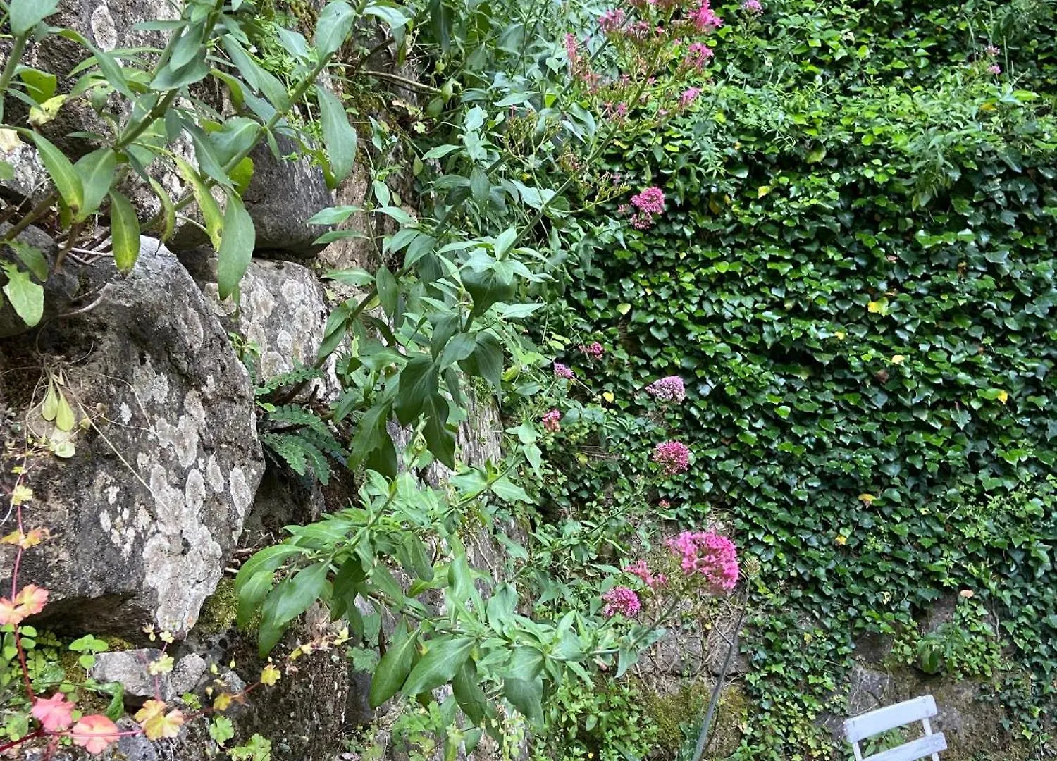 Affittacamere Casarosa L'Opaco Italy